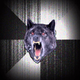 Illustration for article titled We Need Insanity Wolf Now More Than Ever